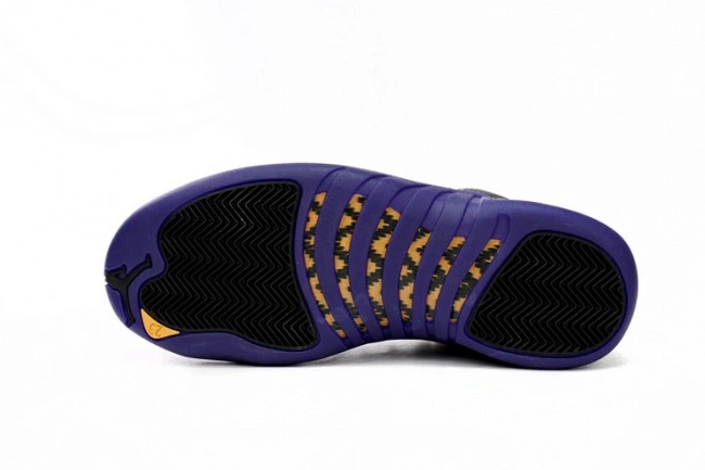 Reps TBkick Purple Air Jordan Field Retro 12 CT8013-057 0702